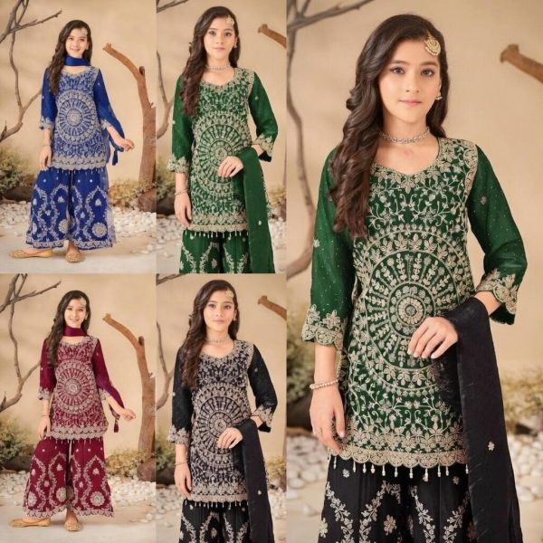 WhatsApp Image 2026-02-15 at 10.00.14 PM (1)