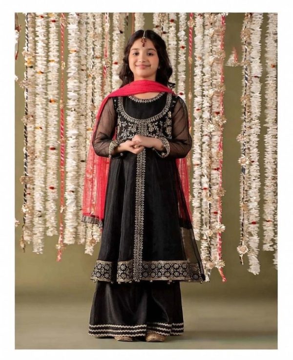 WhatsApp Image 2026-02-15 at 11.20.07 PM