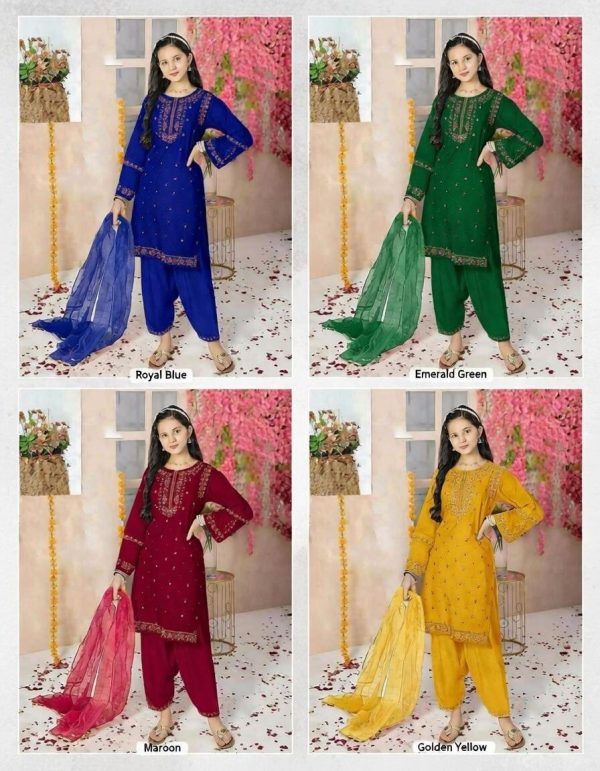 WhatsApp Image 2026-02-15 at 9.44.33 PM