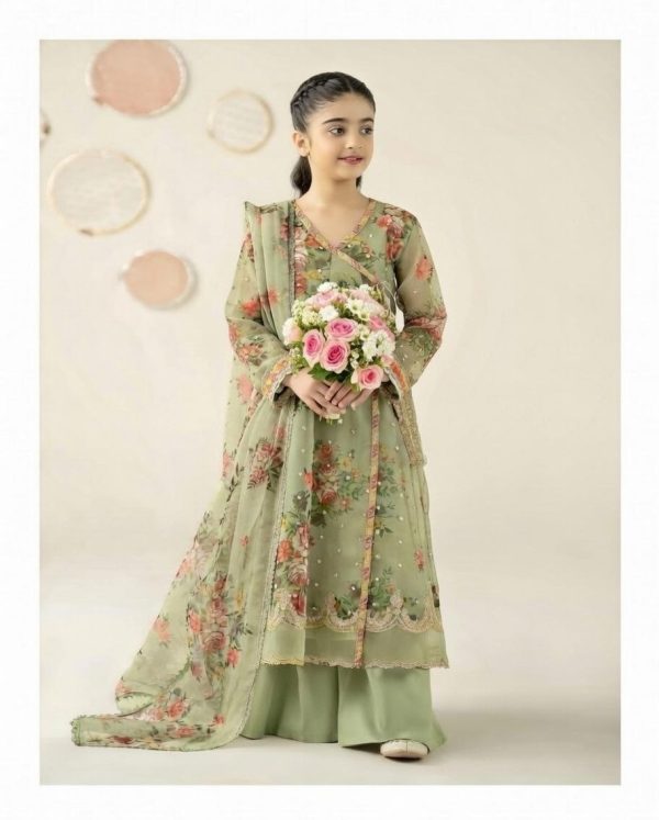 WhatsApp Image 2026-02-16 at 12.21.16 AM (2)